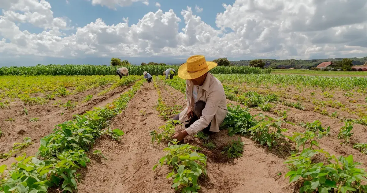 Confeagro pide a presidente promulgar ley para convertir pequeña propiedad