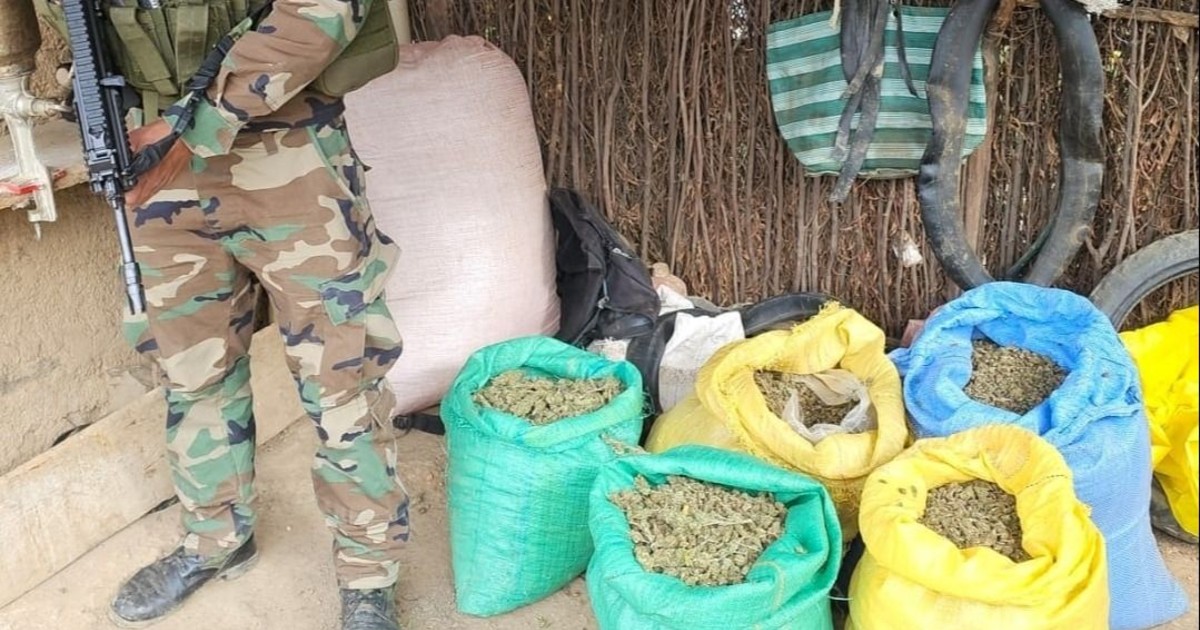 544 kg de marihuana y secuestran sustancias químicas en operativos nacionales