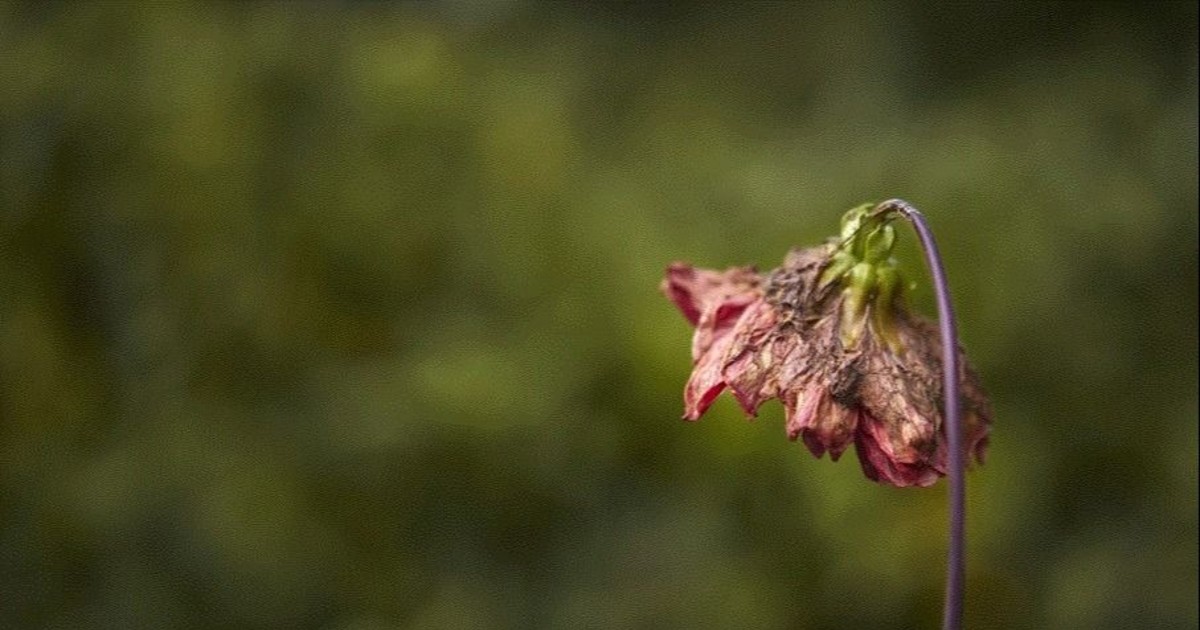 Ministerio de Igualdad confirma asesinato machista en Córdoba tras denuncia reciente de la víctima Ministerio de Igualdad confirma asesinato machista en Córdoba tras denuncia reciente de la víctima