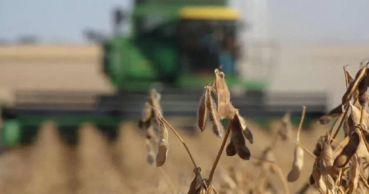 La CAO exige soluciones urgentes ante escasez de diésel que amenaza la cosecha de verano