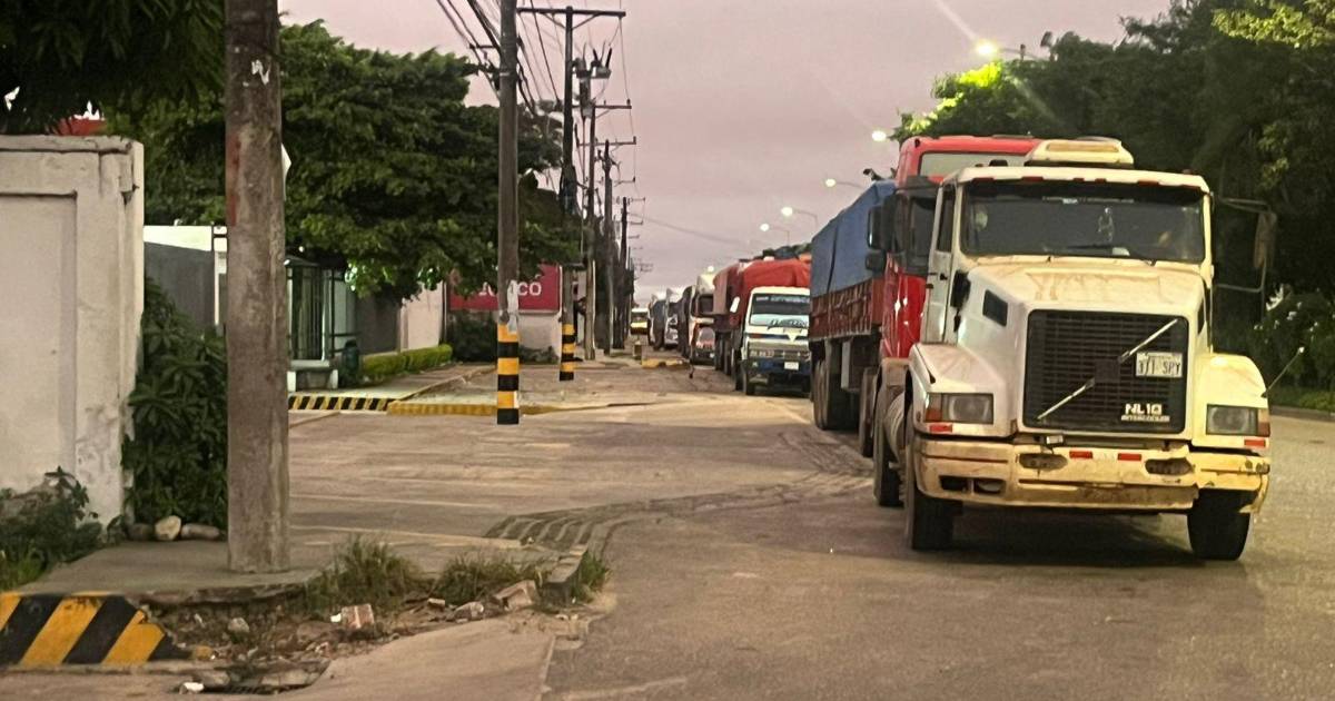 Falta de diésel retrasa cosecha y zafra cañera en Santa Cruz por alta demanda agrícola