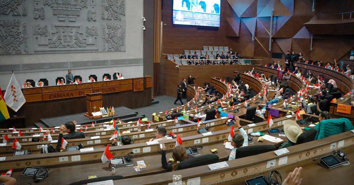 Diputados piden a Asamblea de La Paz corregir ternas para elegir vocales del Tribunal Electoral