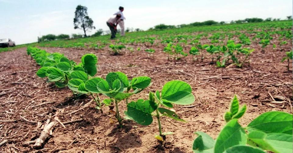 Ley 1720 permite a pequeños productores soyeros cambiar predios y acceder a créditos en Santa Cruz