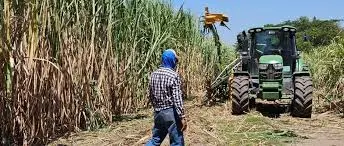 Sector cañero en emergencia por falta de 60 millones de litros de diésel antes de la zafra 2026