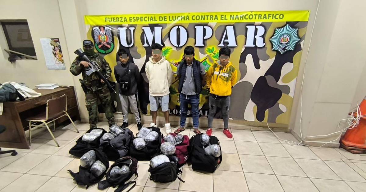 Umopar incauta 56 paquetes de marihuana en bus rumbo a Ivirgarzama