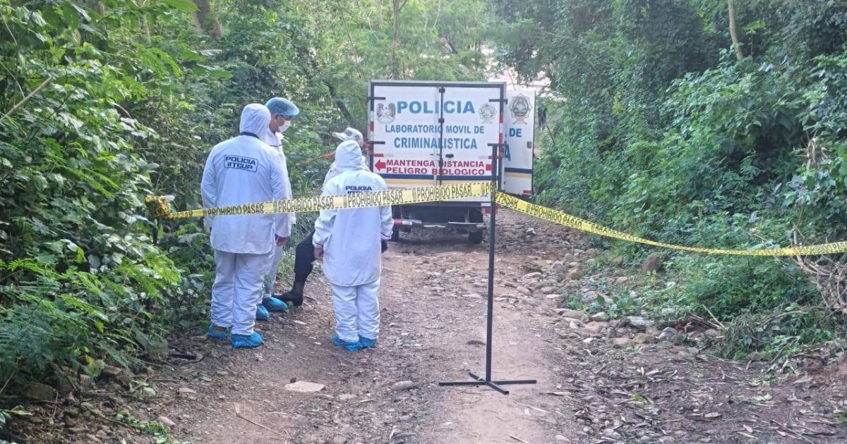 Vicepresidente del Comité Cívico Pro Santa Cruz exige ayuda internacional para frenar la violencia