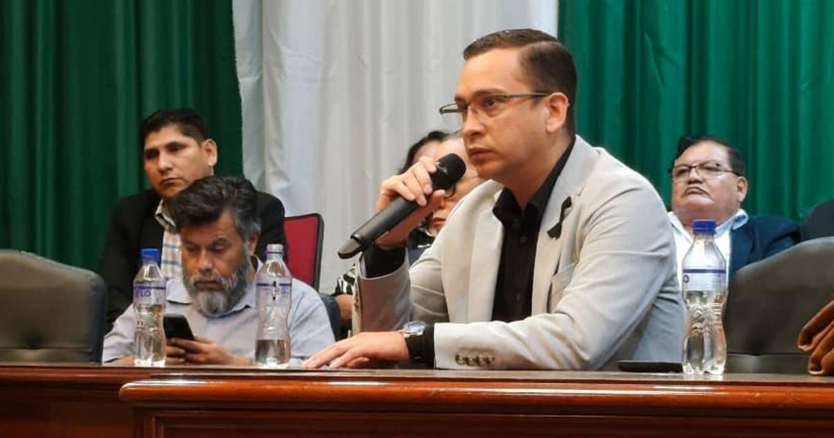 Presidente del TSJ lleva preocupación por violencia en Bolivia ante la Unión Europea y la ONU