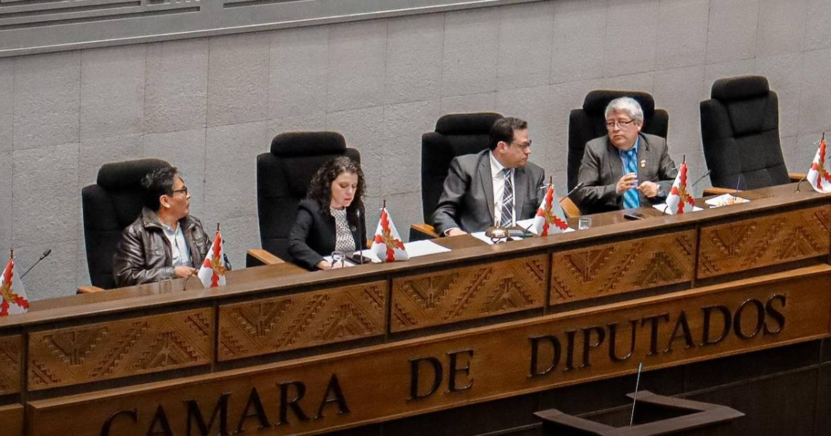 Cámara de Diputados rechaza dispensación para tratar abrogación de la Ley 1720 sobre reconversión de tierras