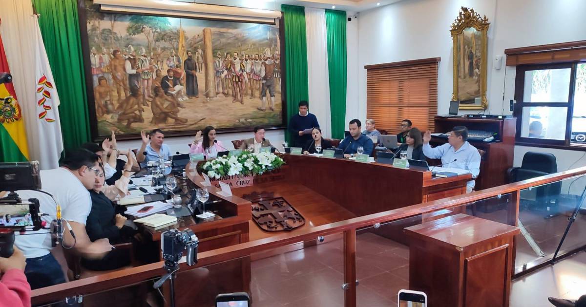 Concejo de Santa Cruz aprueba por unanimidad Ley de Dominio Municipal para caminos del Mutualista