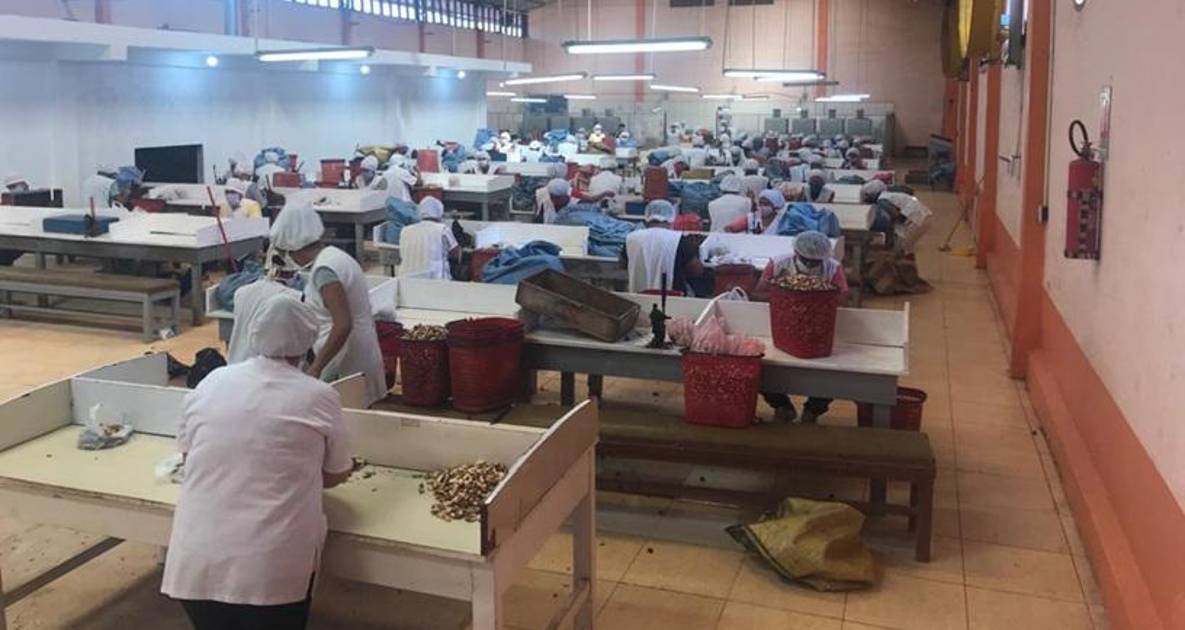 Cadexnor denuncia que bloqueos afectan insumos y exportaciones del sector castañero Cadexnor denuncia que bloqueos afectan insumos y exportaciones del sector castañero