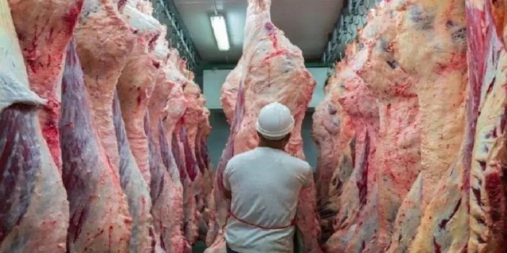 Bloqueos de carreteras ponen en riesgo exportaciones de carne bovina por más de $us 107 millones