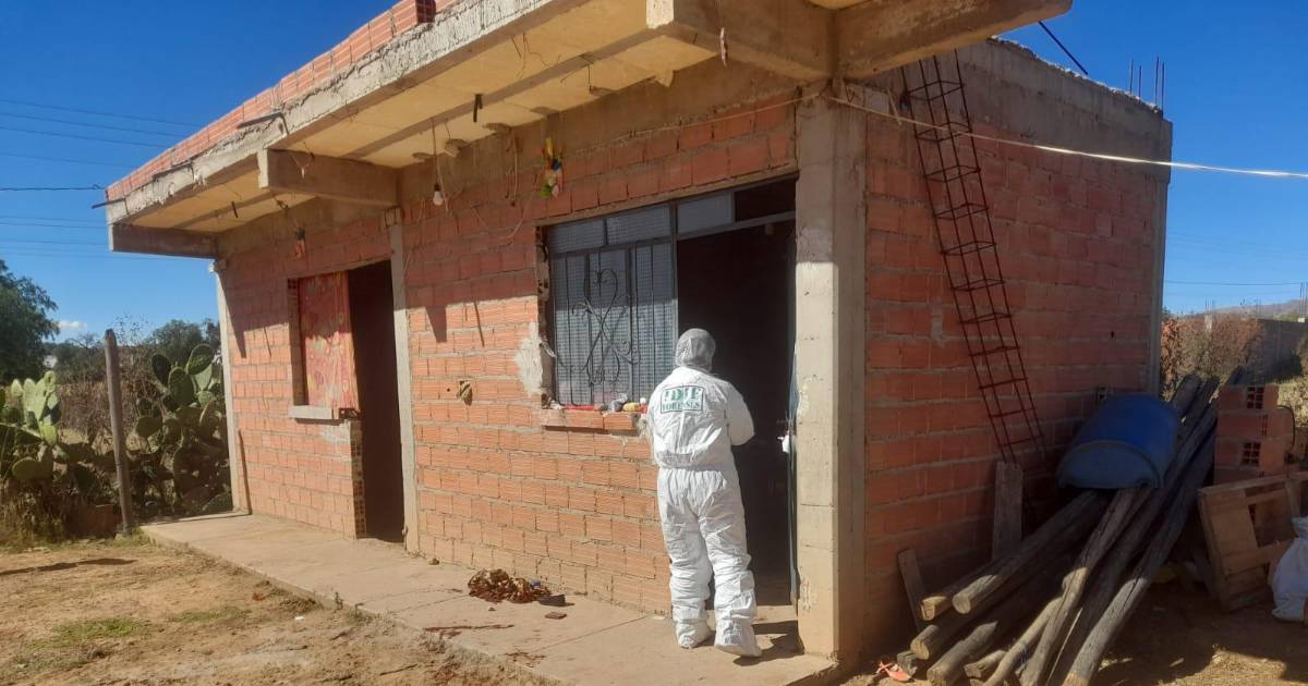 Buscan a yerno que apuñaló y causó la muerte de su suegra en Tarata, Cochabamba
