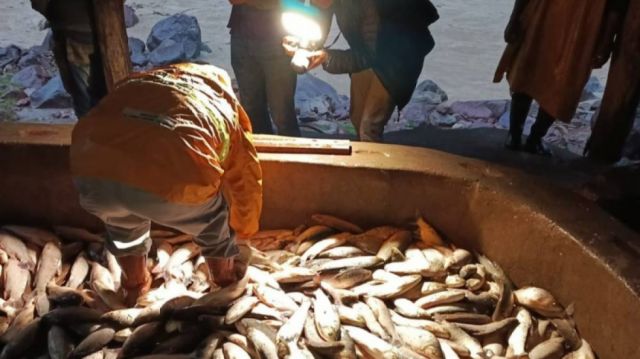 Bloqueos en carreteras reducen en 50% la venta de pescado y afectan a familias indígenas del Pilcomayo Bloqueos en carreteras reducen en 50% la venta de pescado y afectan a familias indígenas del Pilcomayo