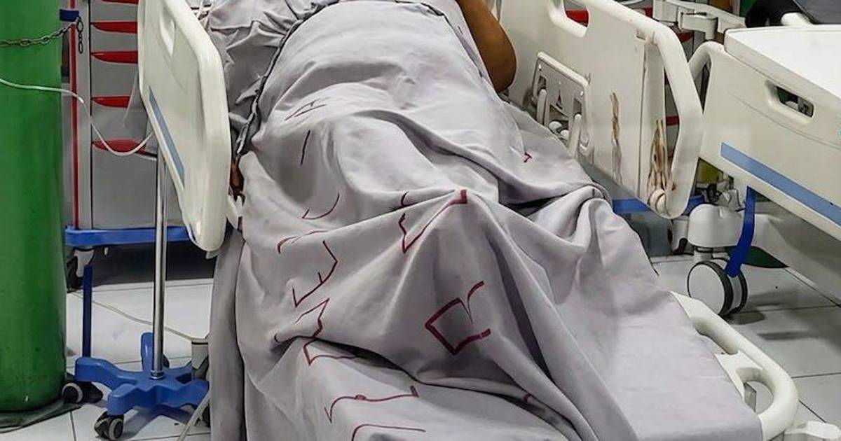 Madre hospitalizada tras ser apuñalada nueve veces por su hijo en intento de parricidio Madre hospitalizada tras ser apuñalada nueve veces por su hijo en intento de parricidio