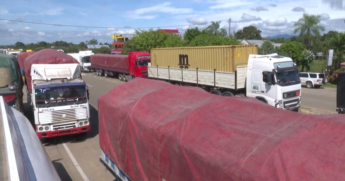 000 toneladas de carne varadas en carreteras por bloqueos, alerta la Cámara Agropecuaria del Oriente