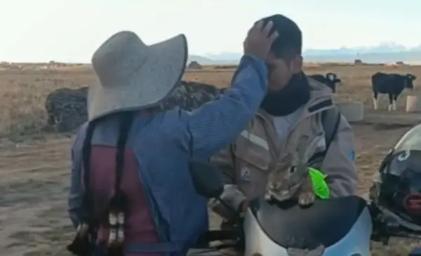 Madre despide con ternura a su hijo y a Loki, el conejo motoquero, antes de viaje a La Paz Madre despide con ternura a su hijo y a Loki, el conejo motoquero, antes de viaje a La Paz