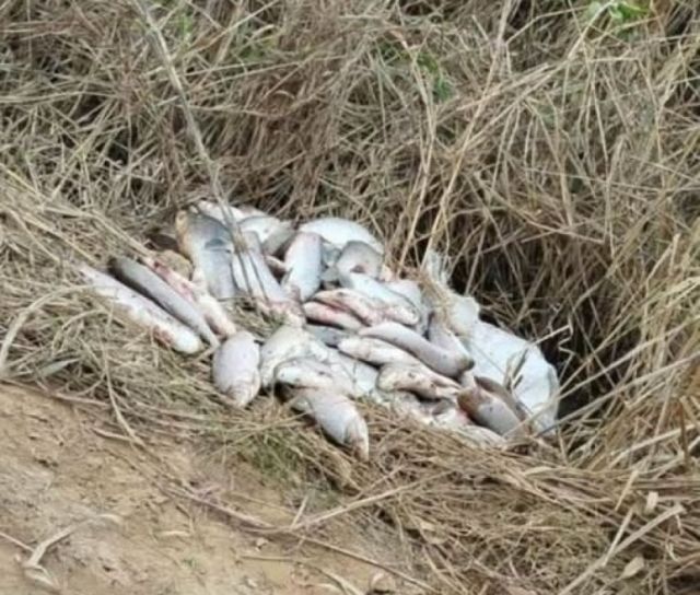 Comunidad de Villa Montes pide pesca responsable para proteger el río Pilcomayo y apoyar a familias vulnerables