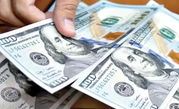 Brecha entre dólar paralelo y tipo de cambio oficial persiste en Bs 0,21 para la venta