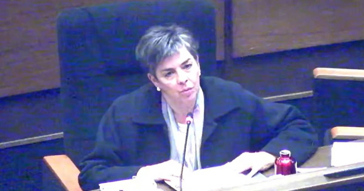 Diputada Requena defiende proyecto de ley sobre Estados de excepción y llama a la reconciliación en La Paz y El Alto