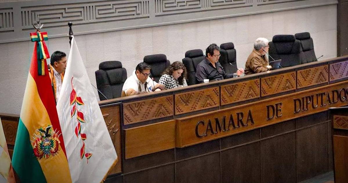 Proyecto de ley sobre Estados de excepción recibe luz verde con apoyo de más de dos tercios en la Cámara de Diputados