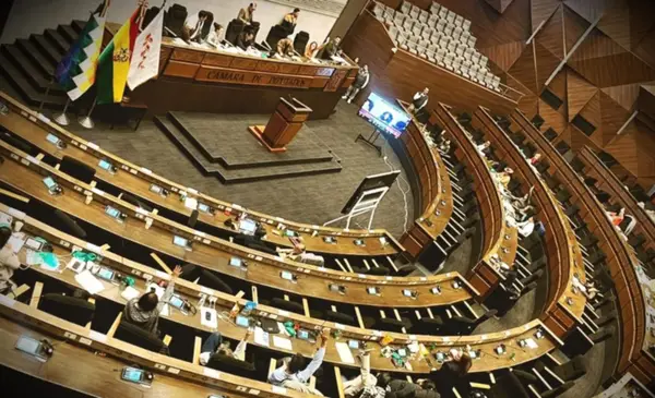 Cámara de Diputados aprueba ley que regula los Estados de Excepción para garantizar orden y derechos fundamentales
