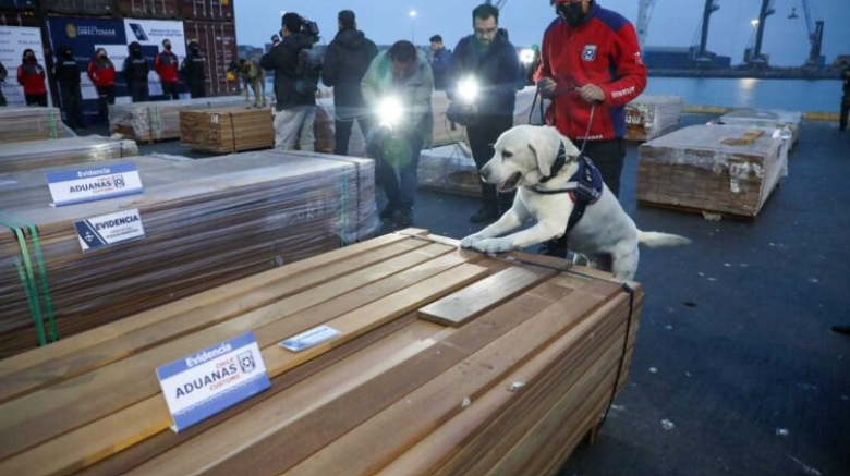 Fiscalía, Armada y Aduanas incautan más de 100 toneladas de droga en cargamentos de madera en puertos chilenos