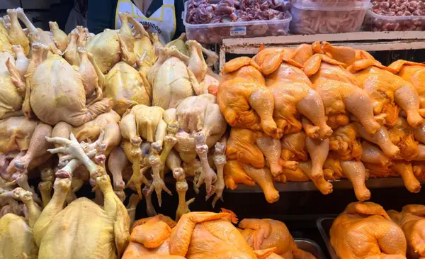 Precio del pollo sube a Bs 13,50 mientras carne de cerdo baja a Bs 18 en Las Pampitas Precio del pollo sube a Bs 13,50 mientras carne de cerdo baja a Bs 18 en Las Pampitas