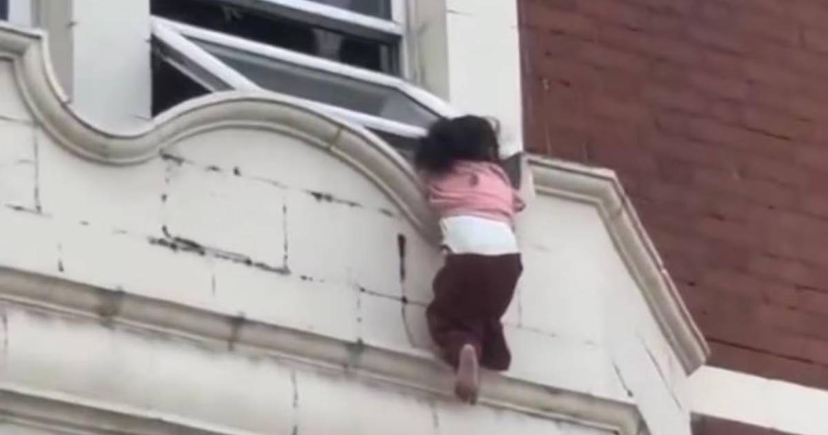 Policía y vecino evitan tragedia al atrapar a niña que cayó desde un edificio en Londres