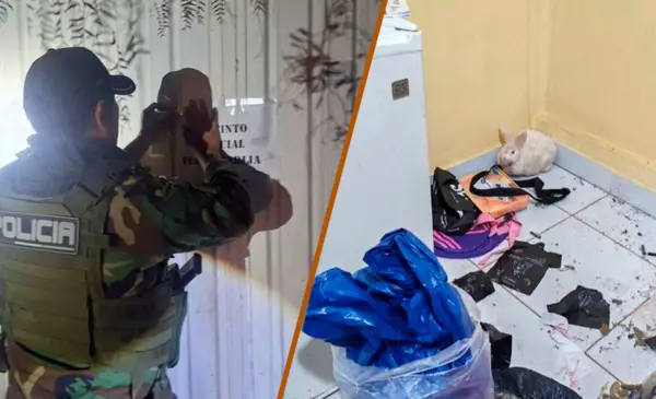 Hallan a un conejo aparentemente drogado durante allanamiento por tráfico de drogas en Tarija