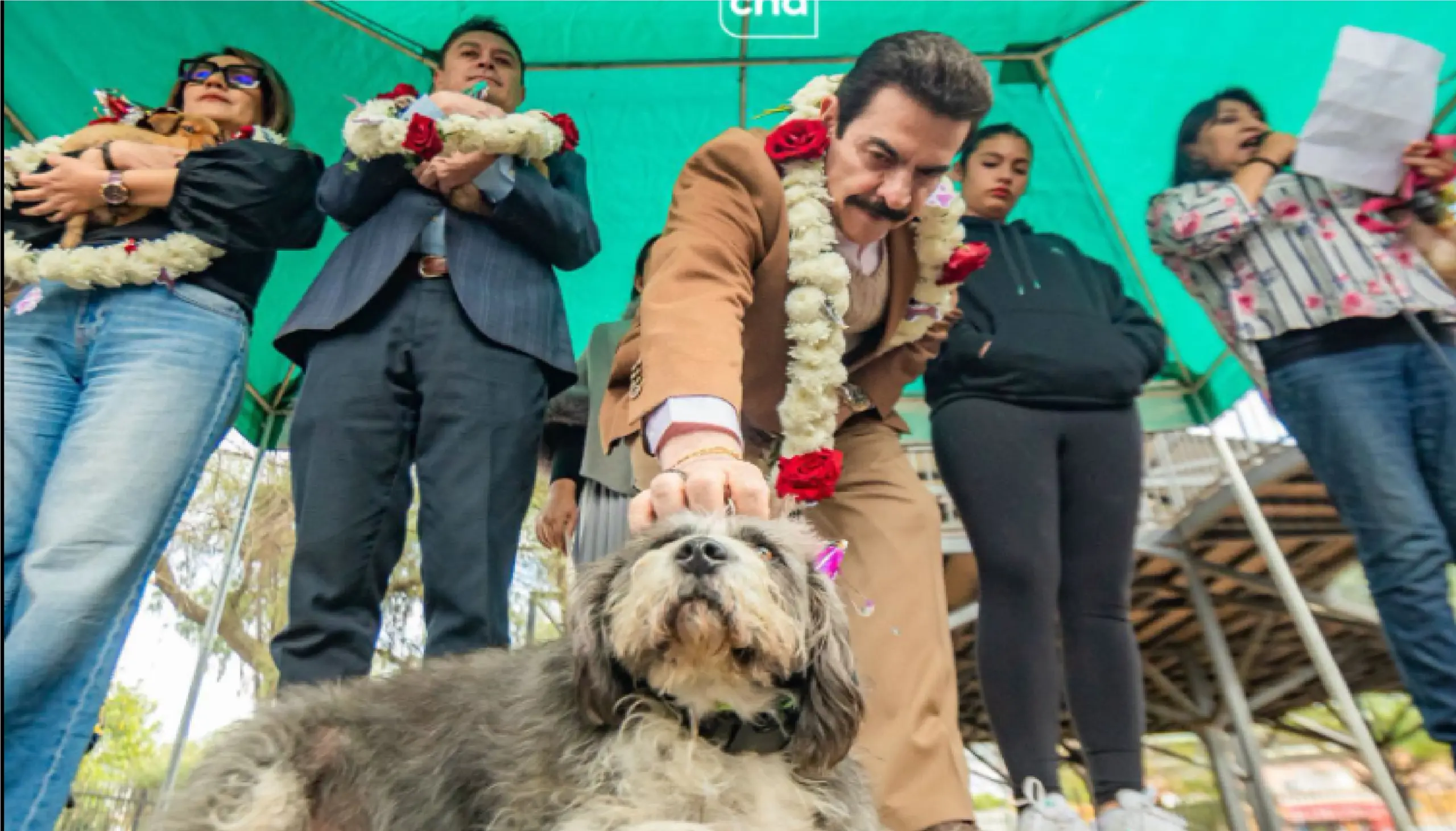 Cochabamba estrena centro integral de salud animal con atención gratuita y a costo social Cochabamba estrena centro integral de salud animal con atención gratuita y a costo social