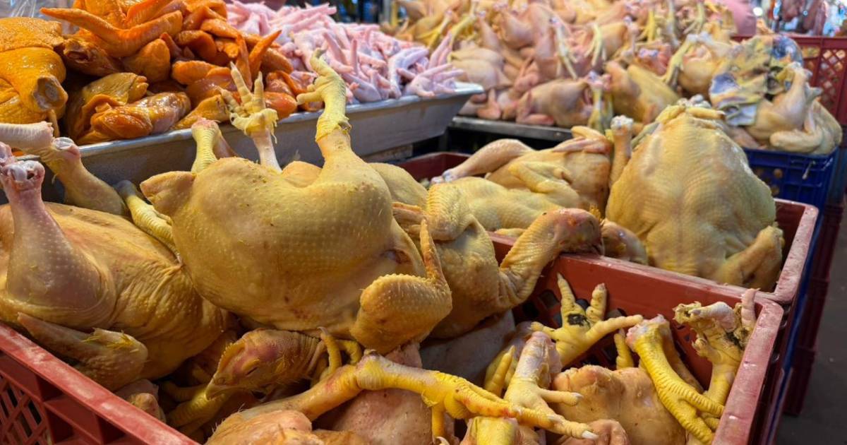 Precio del pollo registra variaciones en el eje central tras 50 días de bloqueos