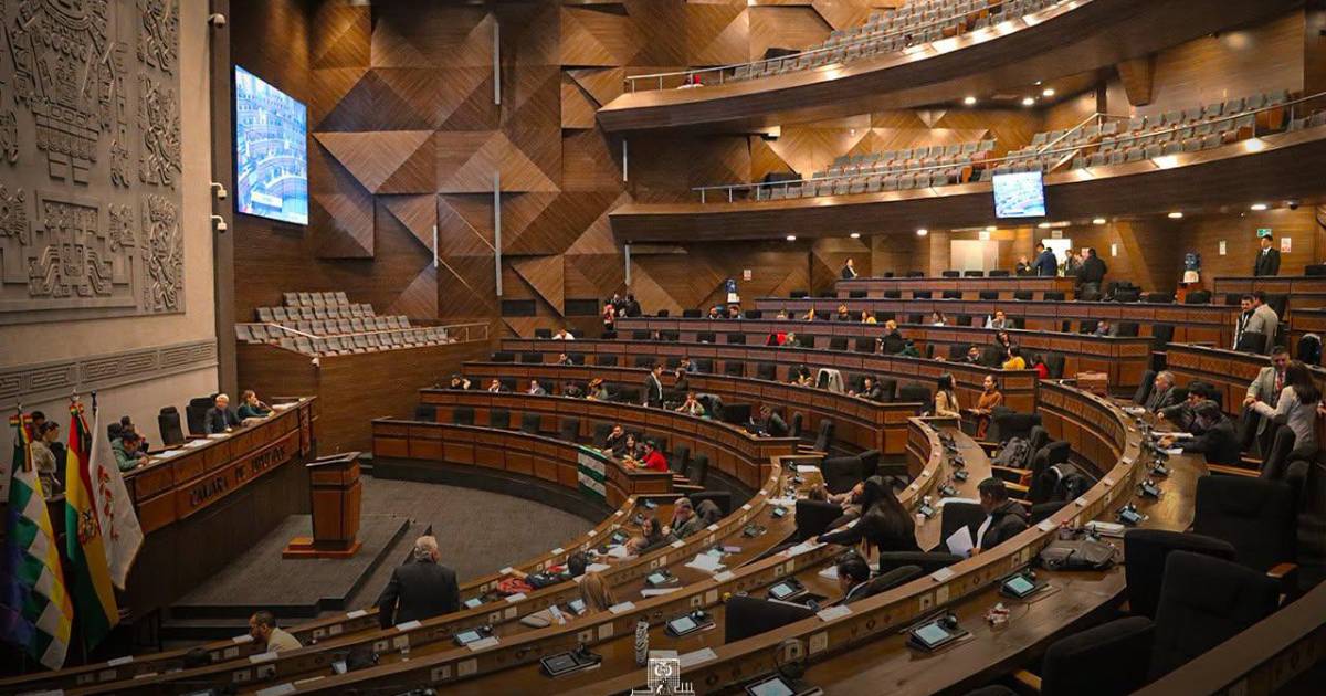 Cámara de Diputados de Bolivia rechaza injerencia externa tras intento de ingreso de comisión argentina