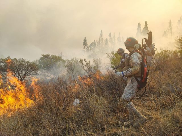 “Tarija Sin Fuego” impulsa educación ambiental y simulacros para fortalecer respuesta ante incendios forestales