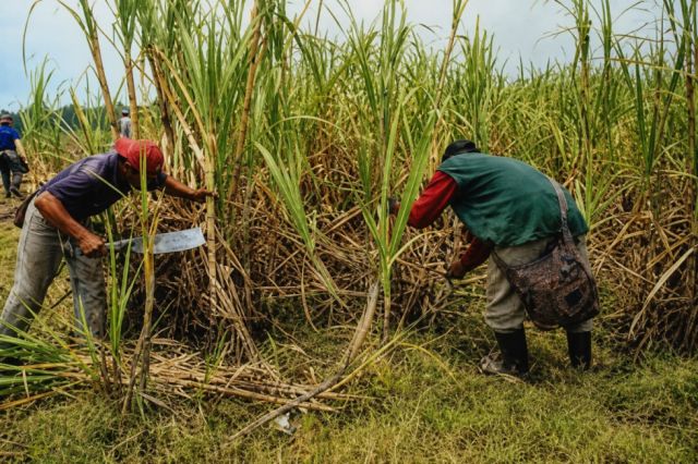 Productores y la Industria Agrícola de Bermejo avanzan en negociaciones para iniciar la zafra 2026 Productores y la Industria Agrícola de Bermejo avanzan en negociaciones para iniciar la zafra 2026