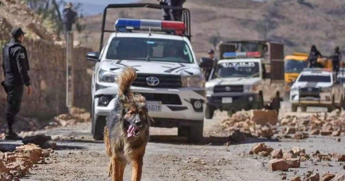 Policía de Quillacollo adopta a perrito que acompañó operativo de desbloqueo en la ruta a Oruro