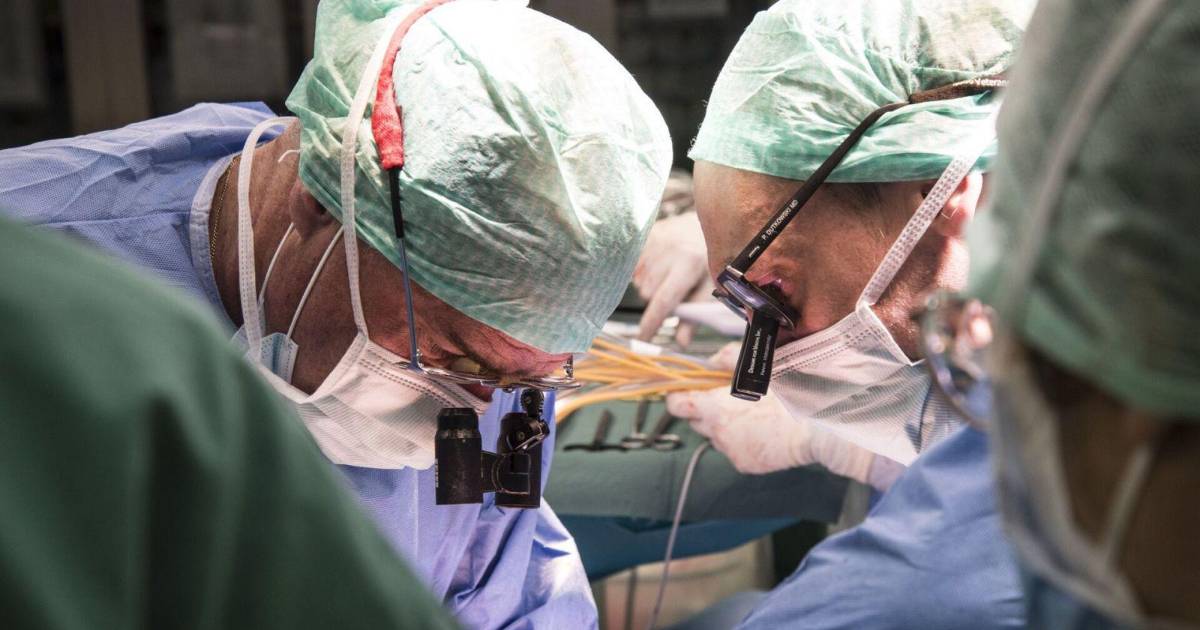 Universidad de Hong Kong logra primer trasplante de hígado asistido por microcirugía robótica Universidad de Hong Kong logra primer trasplante de hígado asistido por microcirugía robótica