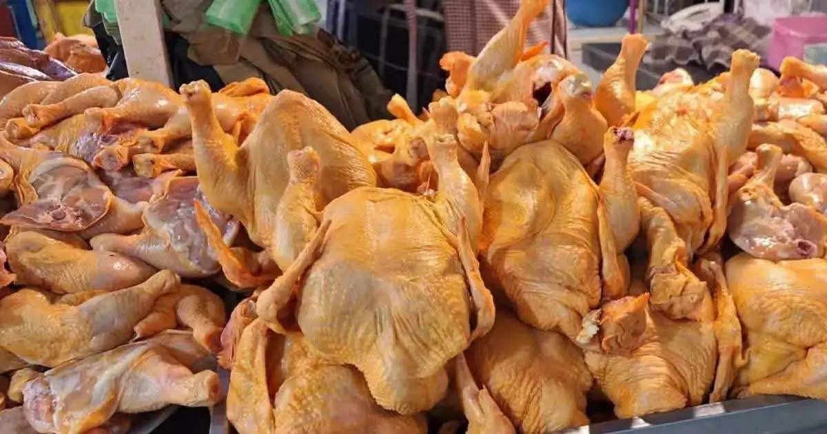 Escasez de diésel paraliza transporte y deja sin pollo a mercados del occidente boliviano