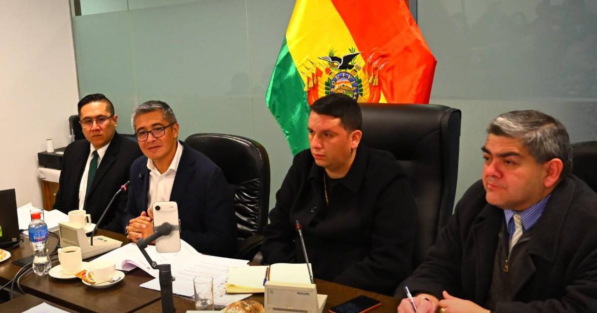 Comisión de Planificación aprueba créditos externos por más de $us 546 millones para agricultura sostenible y seguridad alimentaria