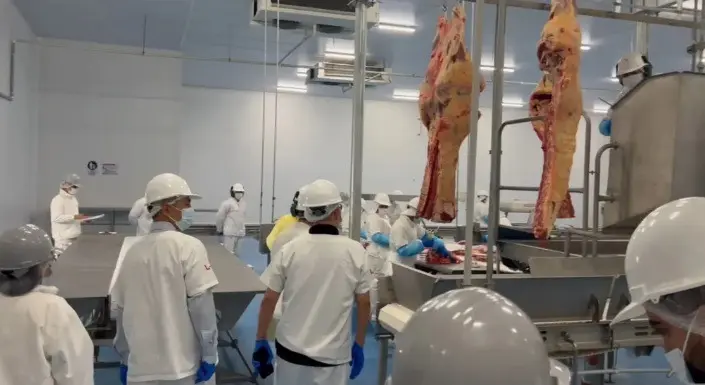 Bolivia avanza en la habilitación de exportación de carne bovina al mercado chileno tras auditoría del SAG